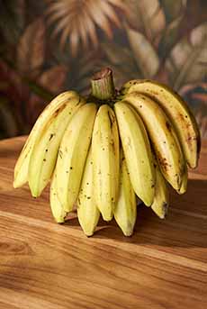 A Bunch Of Gros Michel Bananas