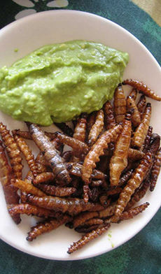 Gusano de Maguey cooked on a plate