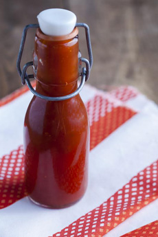 homemade-ketchup-daniellewalkerMealsMadeSimple-230r
