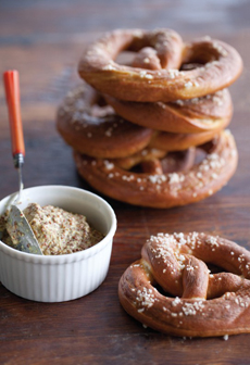 homemade-pretzels-mustard-ws--230
