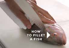 How To Filet A Fish