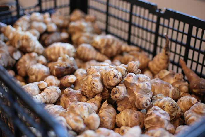 A Basket Of Sunchokes