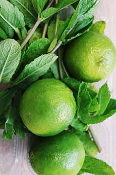 Key Limes Plucked From the Tree with Leaves