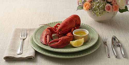 Whole Steamed Lobster With Clarified Butter & Lemon Wedge