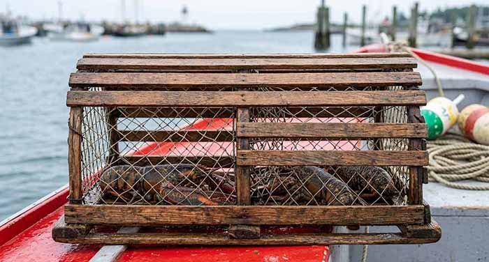 Wood Lobster Trap