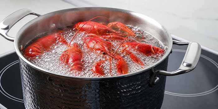Lobsters Boiling In A Pot