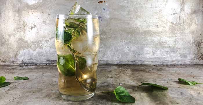 A Mint Julep In A Highball Glass