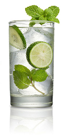 TIP OF THE DAY: Mint Water For The Holidays | The Nibble Webzine Of ...