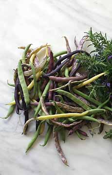 Assorted colors of green beans: green, yellow, purple, purple spotted