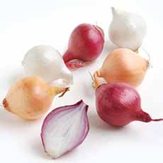 Multicolor Pearl Onions (Uncooked)