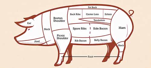 Chart Of Pork Cuts