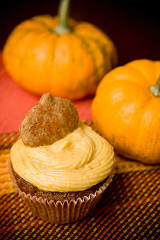 pumpkin-cupcake-stefani-pollack