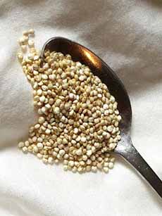White Quinoa Seeds