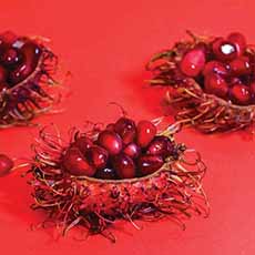 Pomegranate Arils in a Rambutan Shell