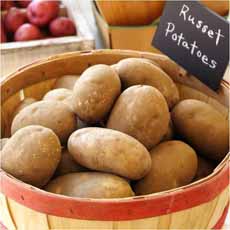 Basket Of Fresh Russet Potatoes