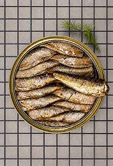 A can of gourmet sardines set upon a kitchen rack.