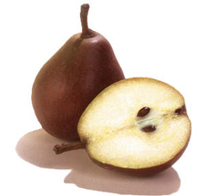 Seckel Pear