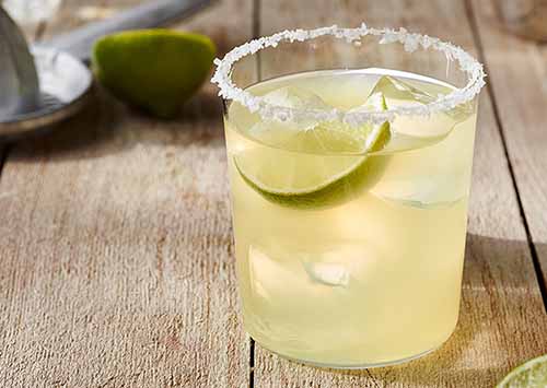Classic Margarita