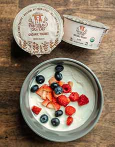 Painterland Sisters Skyr With Fruit