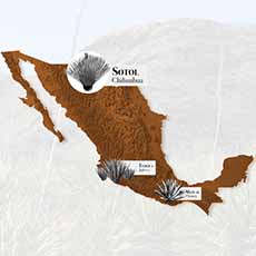 Map of Sotol growing region