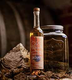 Sotol de Vibora, infused with rattlesnake