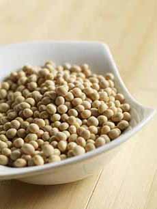 A dish of uncooked soybeans