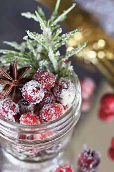 Sugared Cranberries