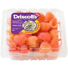 sunshine-raspberries-driscolls-FD