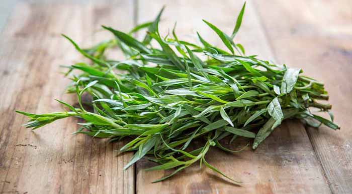 A Bunch Of Fresh Tarragon