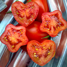 tomato-hearts-stars-burpee-230
