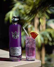 Purple Gin & Tonic Cocktail Made With McQueen & The Violet Fog Gin