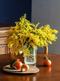 A Vase Of Mimosa Flowers