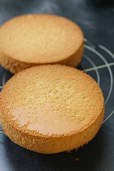 Viennese Sponge Cake Layers