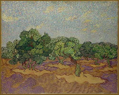 Vincent Van Gogh Painting "The Olive Trees"