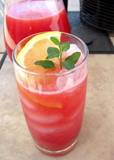 watermelon-mint-lemonade-bootranch-texas-230