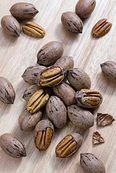 Whole Pecans