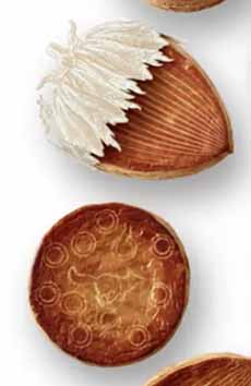 Fancy Galette Des Rois shaped like an almond